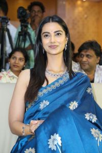 Meenakshi Chaudhary Blue Saree Stills @ Lucky Bhaskar Success Meet