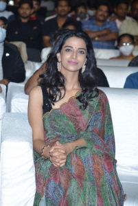 Khiladi Movie Actress Meenakshi Chaudhary Photos