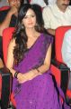 Telugu Actress Meenakshi Dixit Violet Saree Photos