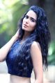 Actress Meenakshi Dixit Hot Photoshoot Pics