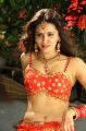 Devaraya Movie Actress Meenakshi Dixit Hot Stills