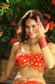 Devaraya Heroine Meenakshi Dixit Hot Stills