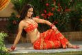 Devaraya Movie Actress Meenakshi Dixit Hot Stills