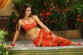 Meenakshi Dixit Latest Hot Stills