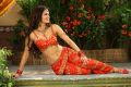 Devaraya Movie Actress Meenakshi Dixit Hot Stills