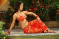 Meenakshi Dixit Latest Hot Stills