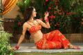 Meenakshi Dixit Latest Hot Stills