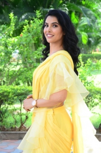 Bharatanatyam Movie Actress Meenakshi Goswamy Pics
