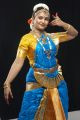 Bharatanatyam Dancer Meenakshi Raghavan Photos