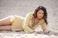 Actress Meenakshi Sarkar Hot Photoshoot Pics