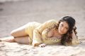 Actress Meenakshi Sarkar Hot Spicy Photoshoot Pics