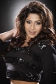 Meenal Hot Photo Shoot Stills Pics