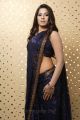 Tamil Actress Meenal in Saree Hot Photoshoot Pics