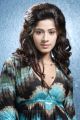 Tamil Heroine Meenal Hot Photoshoot Pics