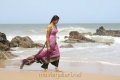 Actress Thanmai Hot Saree Stills in Meenavan
