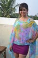 Actress Meera Chopra Hot Pictures at Killadi Movie Press Meet