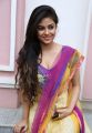 Tamil Actress Meera Chopra Hot Photos in Churidar