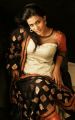 Tamil Actress Meera Mithun Hot Photoshoot Stills
