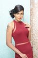 Tamil Actress Meera Mitun Hot Photos