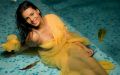 Actress Meera Mitun Hot Photos