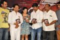 Meera Movie Audio Launch Stills