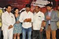 Meera Movie Audio Launch Stills