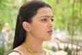 Actress Swetha in Meeravudan Krishna Movie Stills