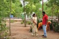 Meeravudan Krishna Movie Stills