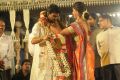 Mega Fans @ Ram Charan, Upasana Reception Stills