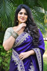 Actress Megha Akash Saree Stills @ Vikkatakavi Press Meet