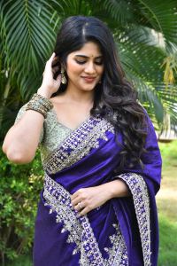 Vikkatakavi Actress Megha Akash Blue Saree Stills