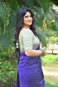 Actress Megha Akash Saree Stills @ Vikkatakavi Press Meet