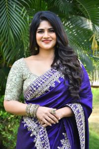 Actress Megha Akash Blue Saree Stills @ Vikkatakavi Press Meet