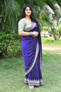 Actress Megha Akash Saree Stills @ Vikkatakavi Press Meet