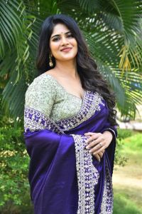 Actress Megha Akash Saree Stills @ Vikkatakavi Press Meet