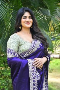 Vikkatakavi Actress Megha Akash Saree Stills