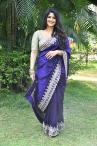 Vikkatakavi Actress Megha Akash Blue Saree Stills