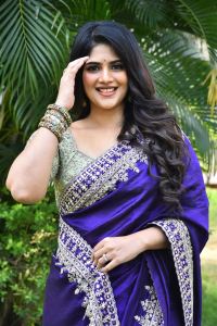 Actress Megha Akash Saree Stills @ Vikkatakavi Press Meet