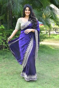 Vikkatakavi Actress Megha Akash Saree Stills