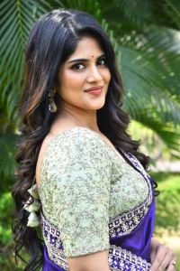 Actress Megha Akash Saree Stills @ Vikkatakavi Press Meet