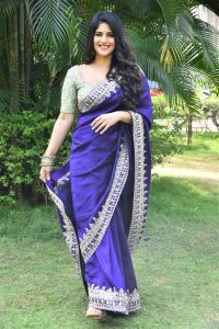 Vikkatakavi Actress Megha Akash Blue Saree Stills