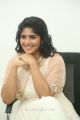 Lie Movie Actress Megha Akash Interview Photos
