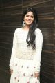 Telugu Actress Megha Akash Photos @ LIE Pre Release Function