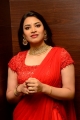 Actress Meghana Red Dress Photos @ Ee Kathalo Paathralu Kalpitam Pre-Release