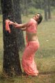 Meghana Raj Hot Wet Saree in Jakkamma