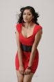 Actress Meghana Raj Spicy Hot Photo Shoot Stills in Red Frock