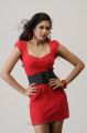 Meghana Raj Latest Hot Photo Shoot Stills in Red Frock