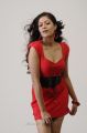 Lucky Movie Actress Meghana Raj Hot Photo Shoot Stills