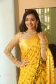 Telugu Actress Meghna Mandumula Yellow Saree Photos