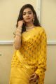 Meghna Mandumula Yellow Saree Photos @ Pochampally IKAT Art Mela